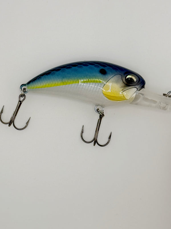 Fishhead Crank Baits