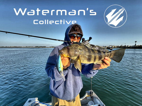 Stocking Stuffer From the Collective