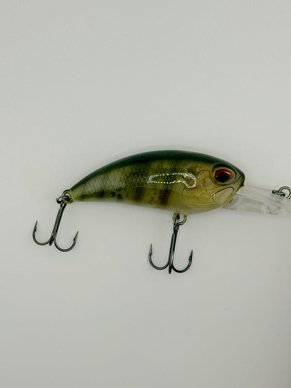 Fishhead Crank Baits