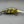 Fishhead Crank Baits