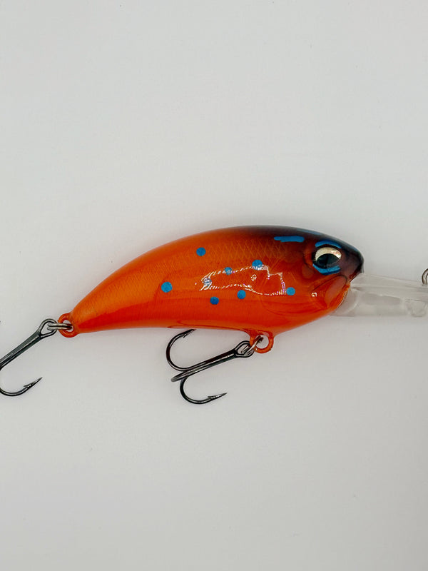 Fishhead Crank Baits