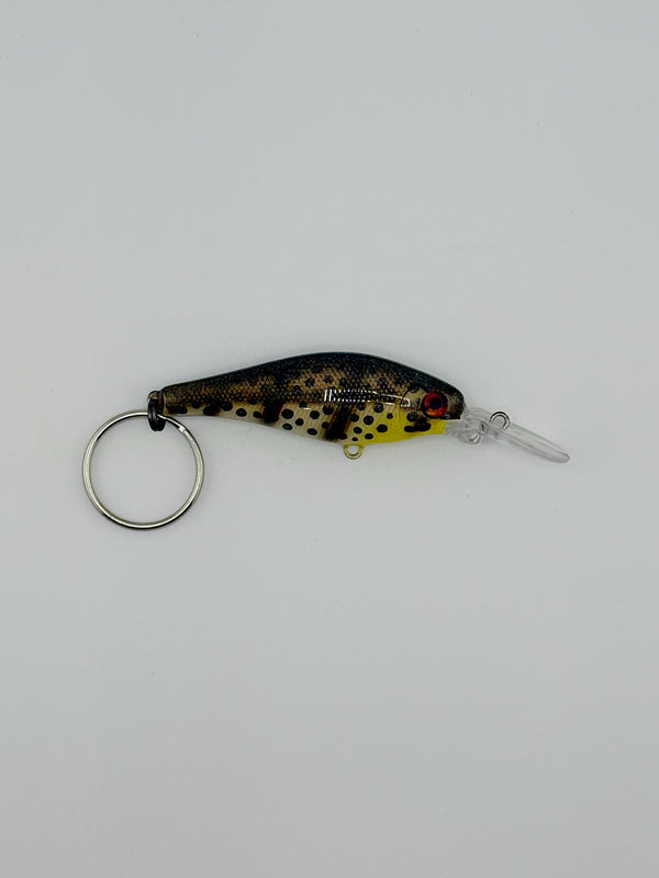 Fishhead Key Chains