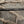 Harbor Master Series Rods